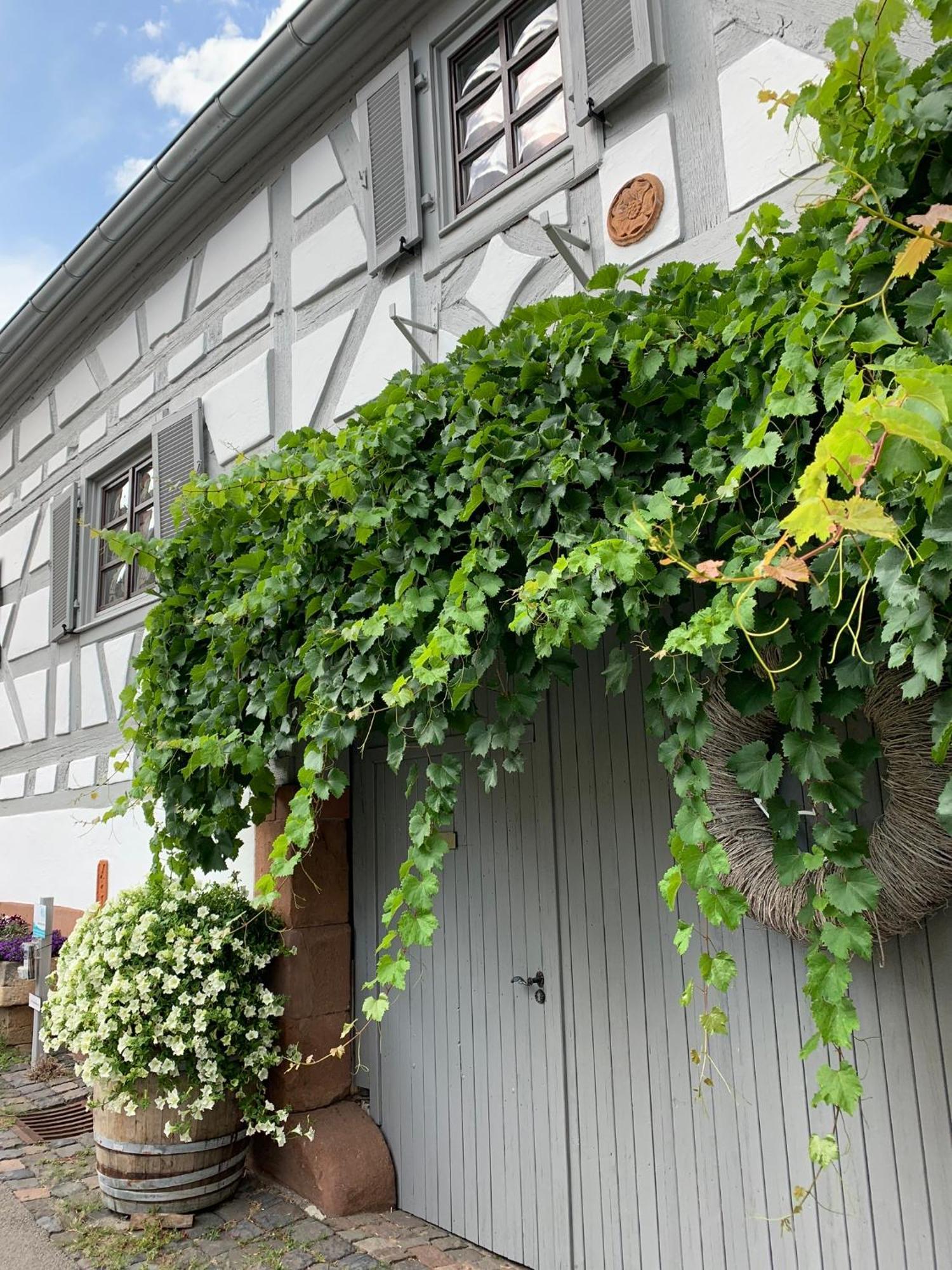 Ferienwohnung Sambachhaus Gleiszellen-Gleishorbach Exterior photo
